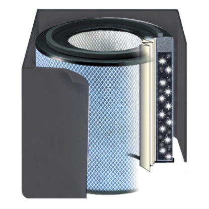 Austin Air HealthMate Plus Ersatzfilter