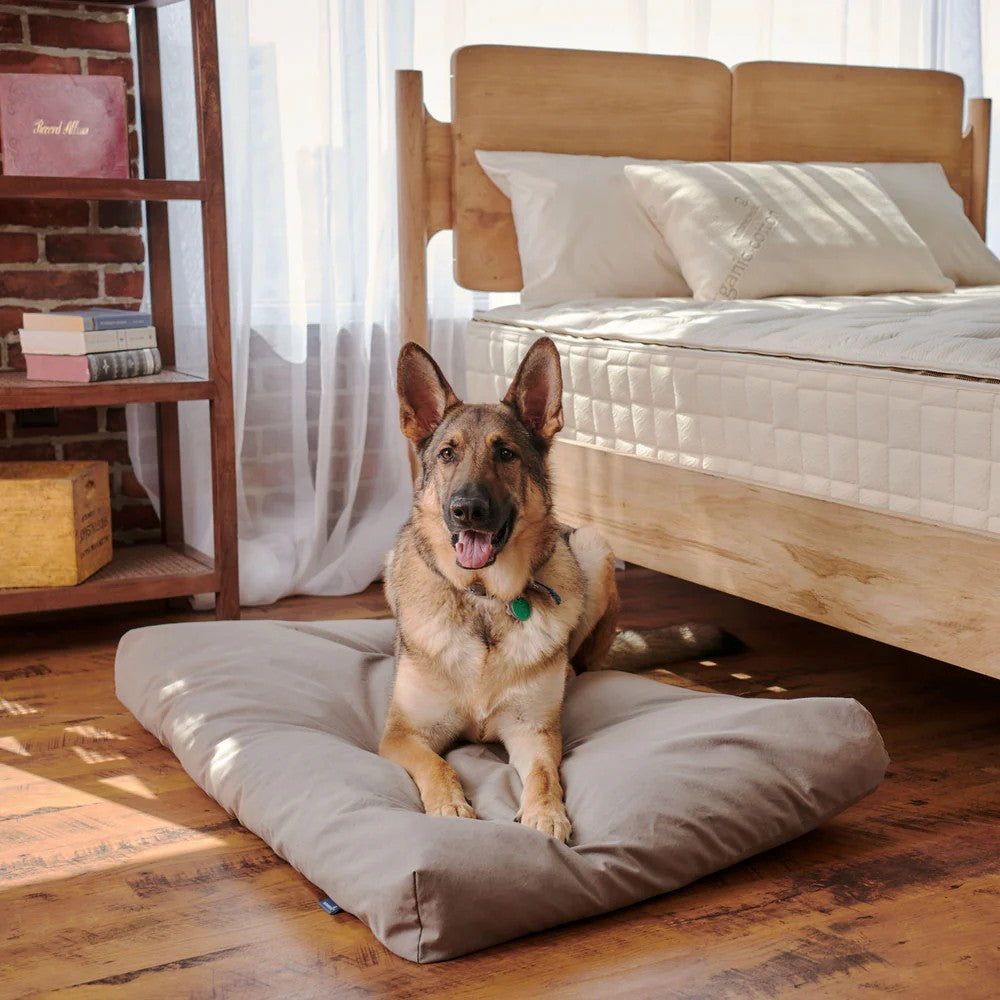 Organisches Latex-Hundebett mit wasserdichter Abdeckung