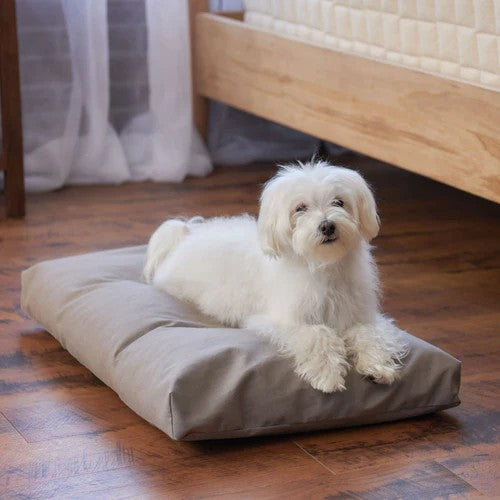 Organisches Latex-Hundebett mit wasserdichter Abdeckung
