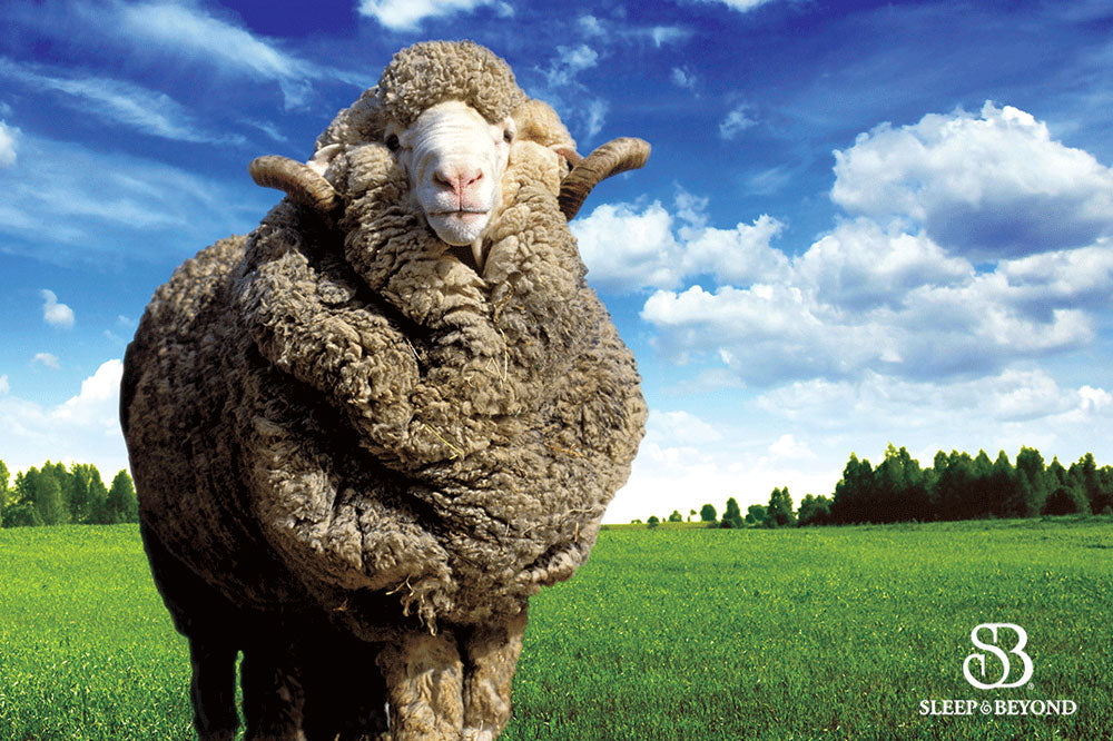 myMerino® Organic Merino Woll Matratze Topper